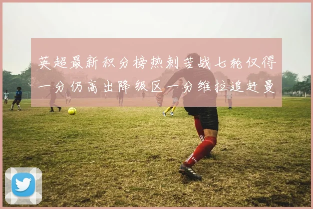 英超最新积分榜热刺苦战七轮仅得一分仍高出降级区一分维拉追赶曼联仅差一分